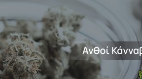 Hellenic Cannabis